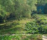 20250905_143416_4_11zon